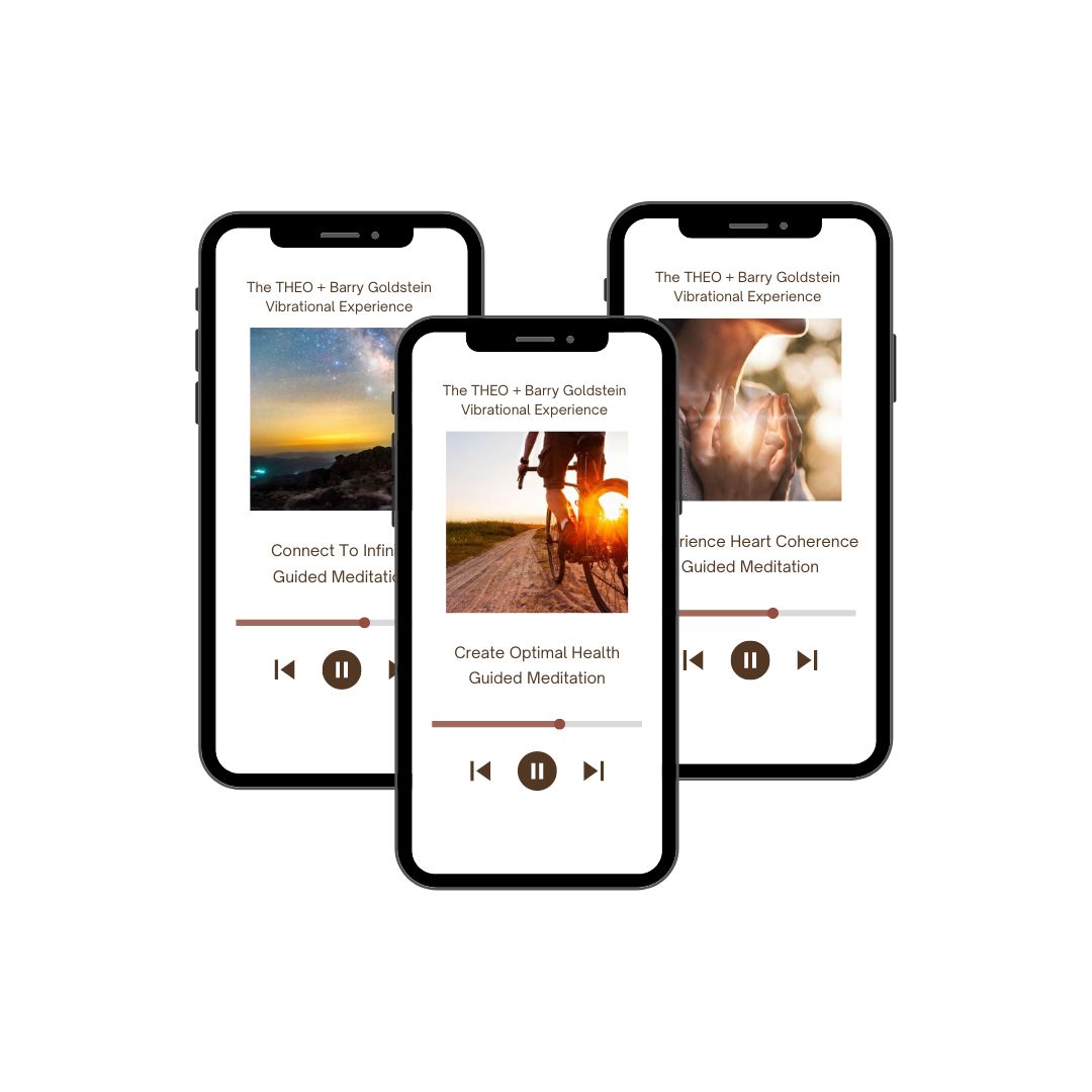 The THEO + Barry Goldstein Vibrational Experience